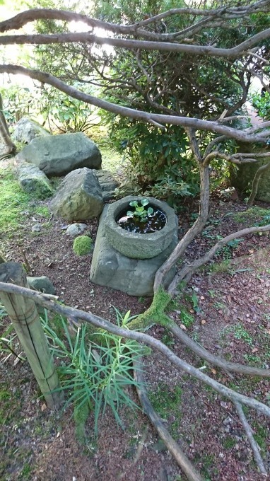 e0270067_13360651.jpg