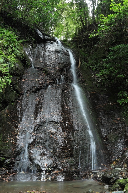 e0304170_18475006.jpg