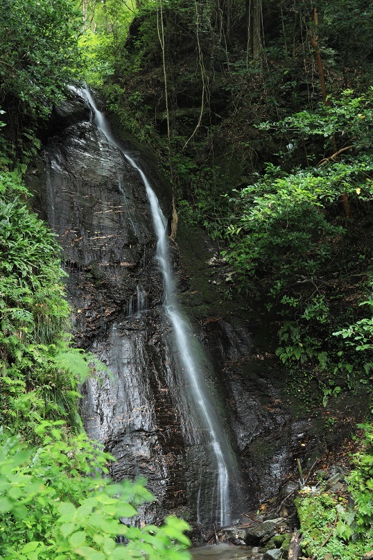 e0304170_18480010.jpg