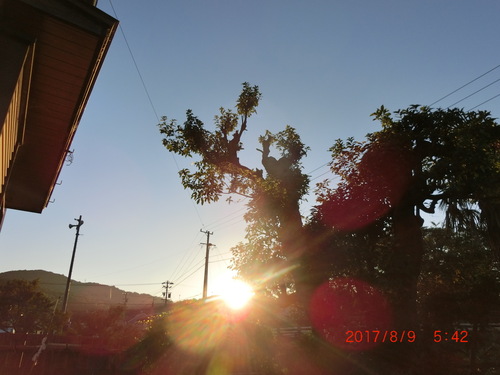 d0007071_136064.jpg