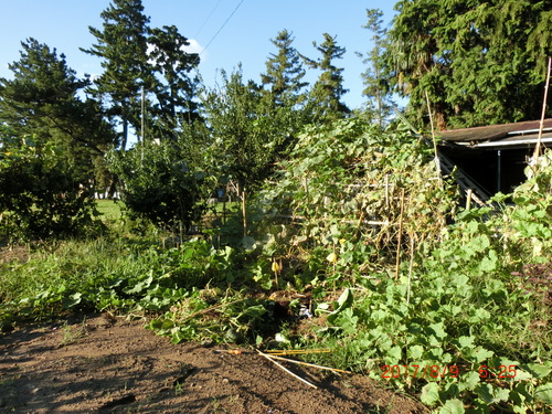 d0007071_1374756.jpg