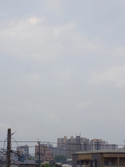 c0169176_8223520.jpg