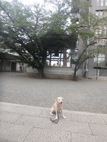 f0052277_03010799.jpg