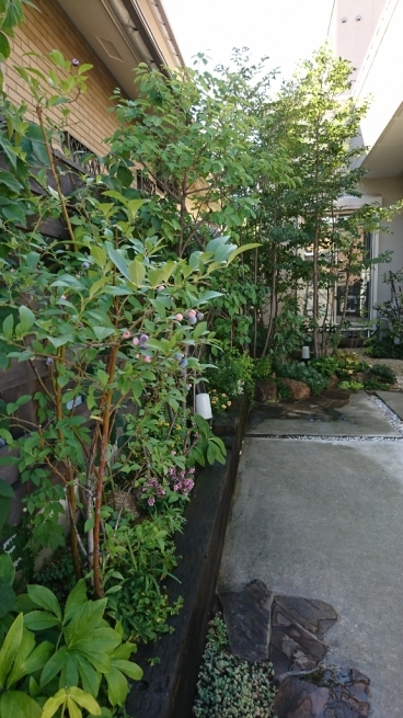 e0295878_19011766.jpg
