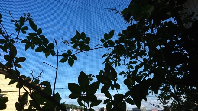 e0295878_21091448.jpg