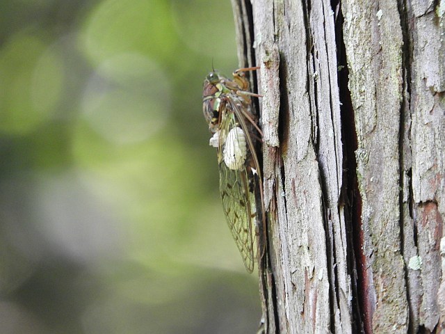 f0378979_15050337.jpg