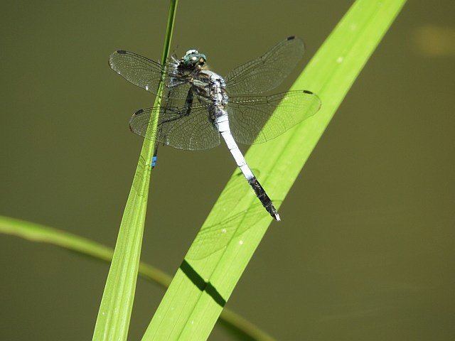 f0378979_15051432.jpg