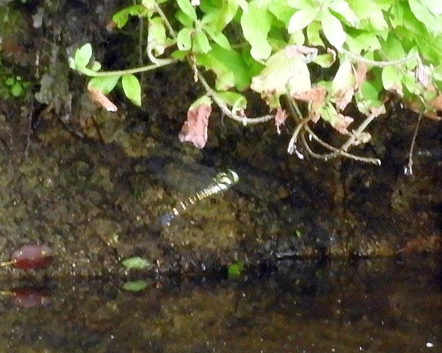 f0378979_17561503.jpg