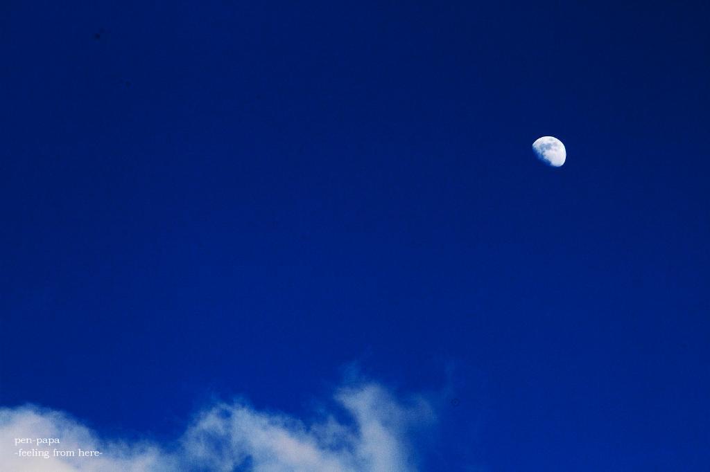 c0356480_18372091.jpg