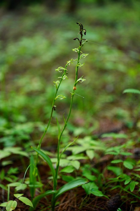 d0341880_07182507.jpg