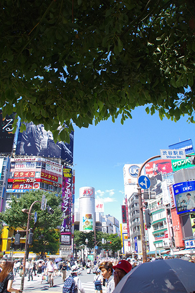 b0056983_13480362.jpg