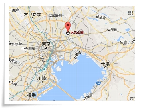 d0174983_19593421.jpg