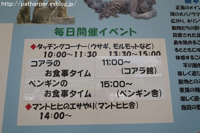 a0052986_7263087.jpg