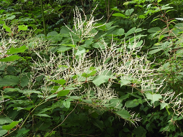 f0357487_23224171.jpg