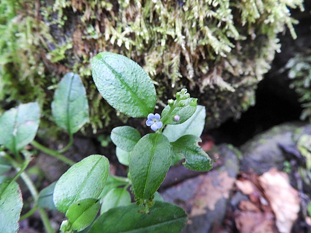f0357487_23285426.jpg