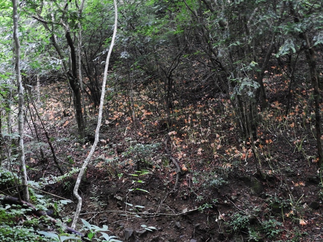 f0357487_2334540.jpg
