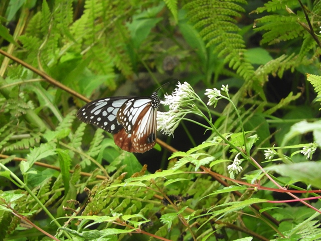 f0357487_23445569.jpg