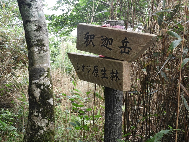 f0357487_2345209.jpg