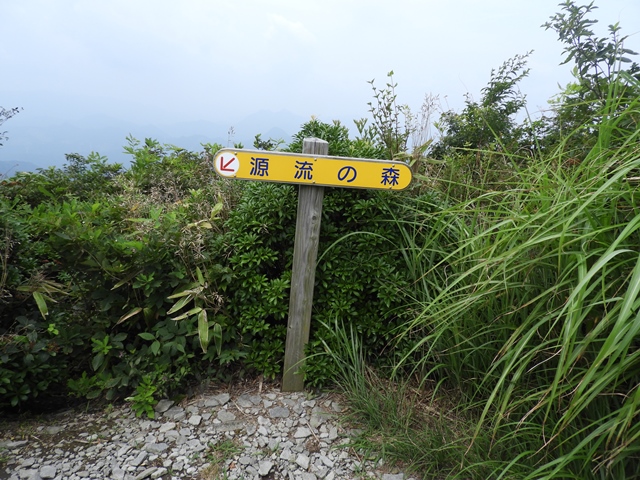 f0357487_23511221.jpg