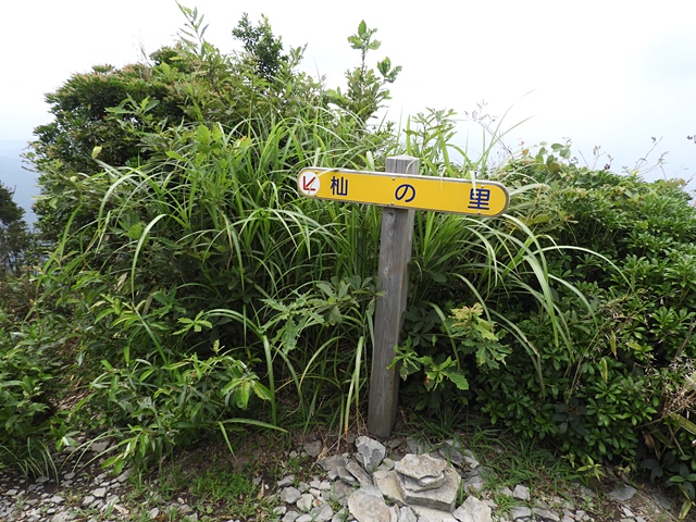 f0357487_23515969.jpg