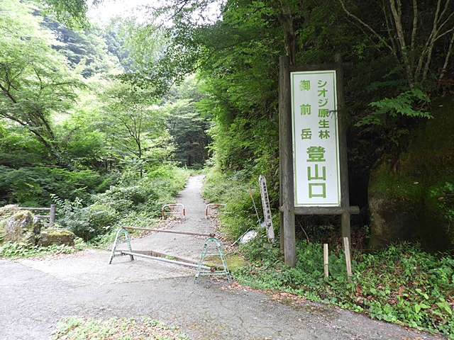 f0357487_2352450.jpg