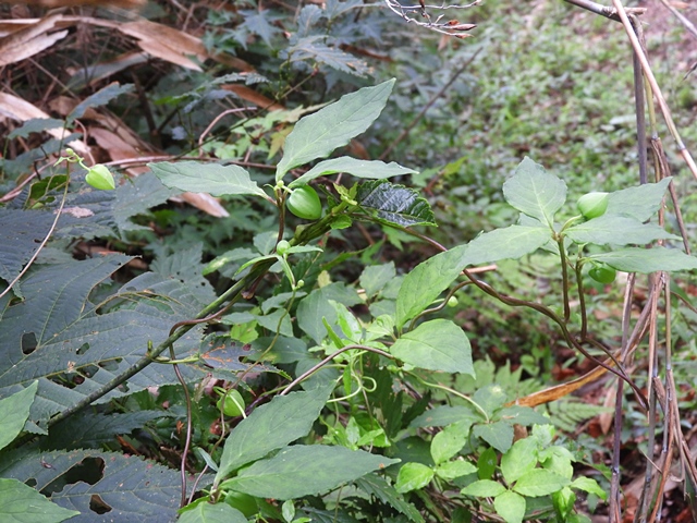 f0357487_2354773.jpg