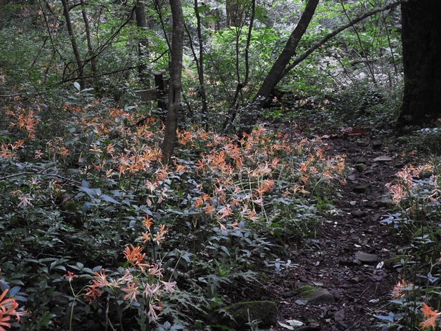 f0357487_2357735.jpg