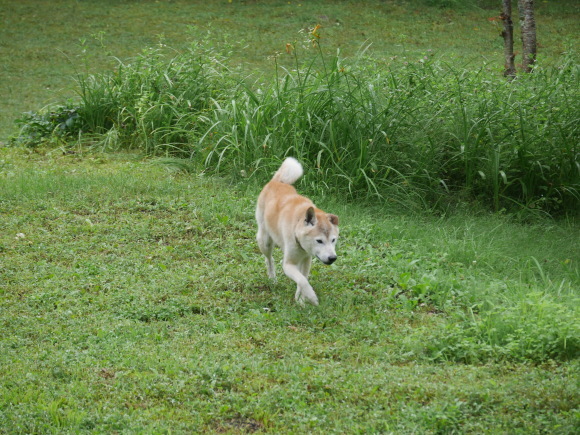 c0123890_12101161.jpeg