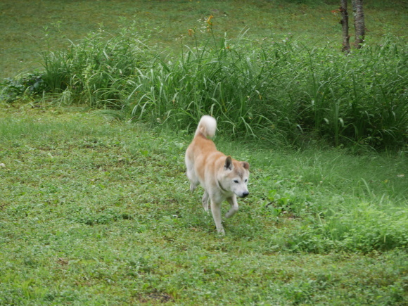 c0123890_12110295.jpeg