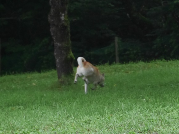 c0123890_12112647.jpeg