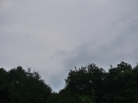 c0123890_12120266.jpeg