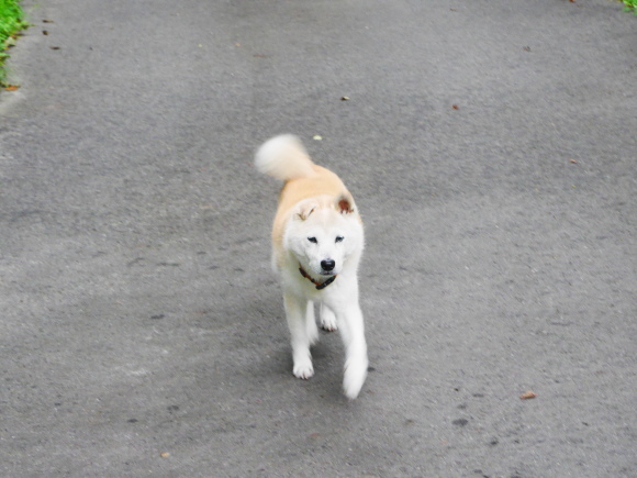 c0123890_12141952.jpeg