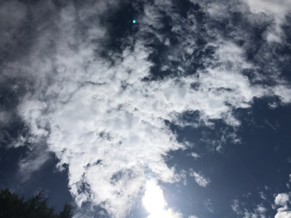 d0135694_02230714.jpg