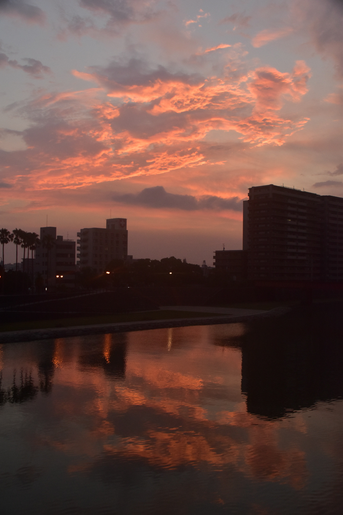 c0049299_22521537.jpg