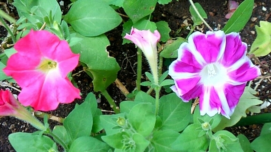 d0306603_08123927.jpg