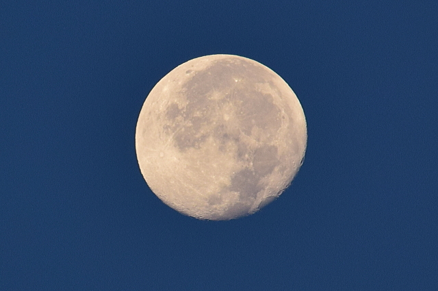 f0368610_20040410.jpg