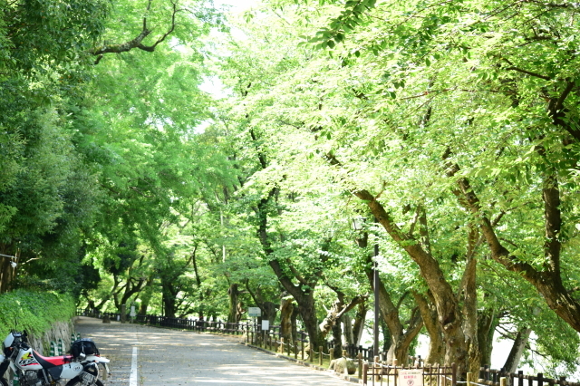 f0368610_20384562.jpg