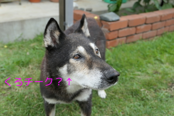 f0369014_13310966.jpg