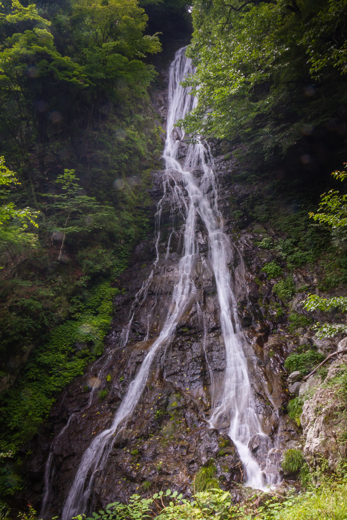 b0010915_15593397.jpg