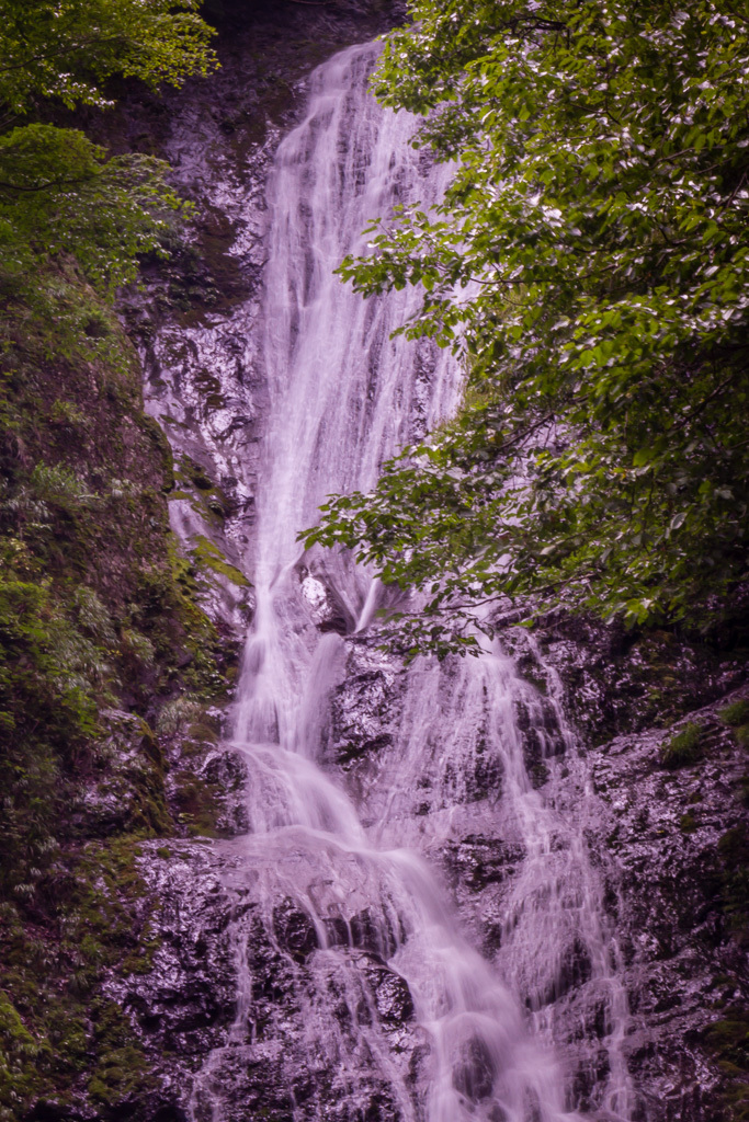 b0010915_16000388.jpg