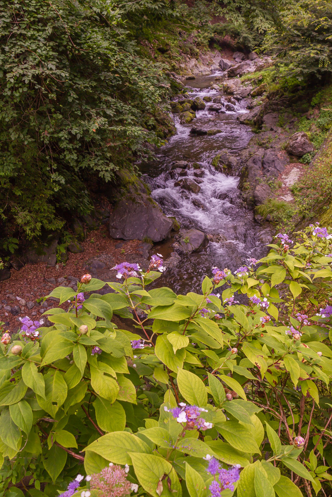 b0010915_16010484.jpg
