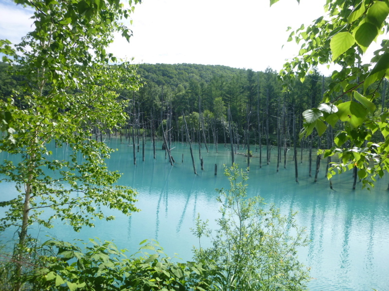 d0170615_21183864.jpg