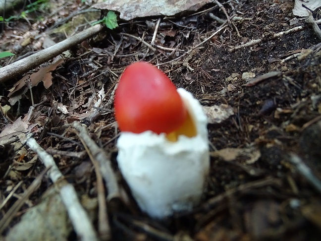f0360815_15204147.jpg