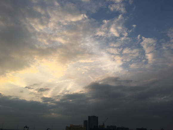 a0098418_00521161.jpg