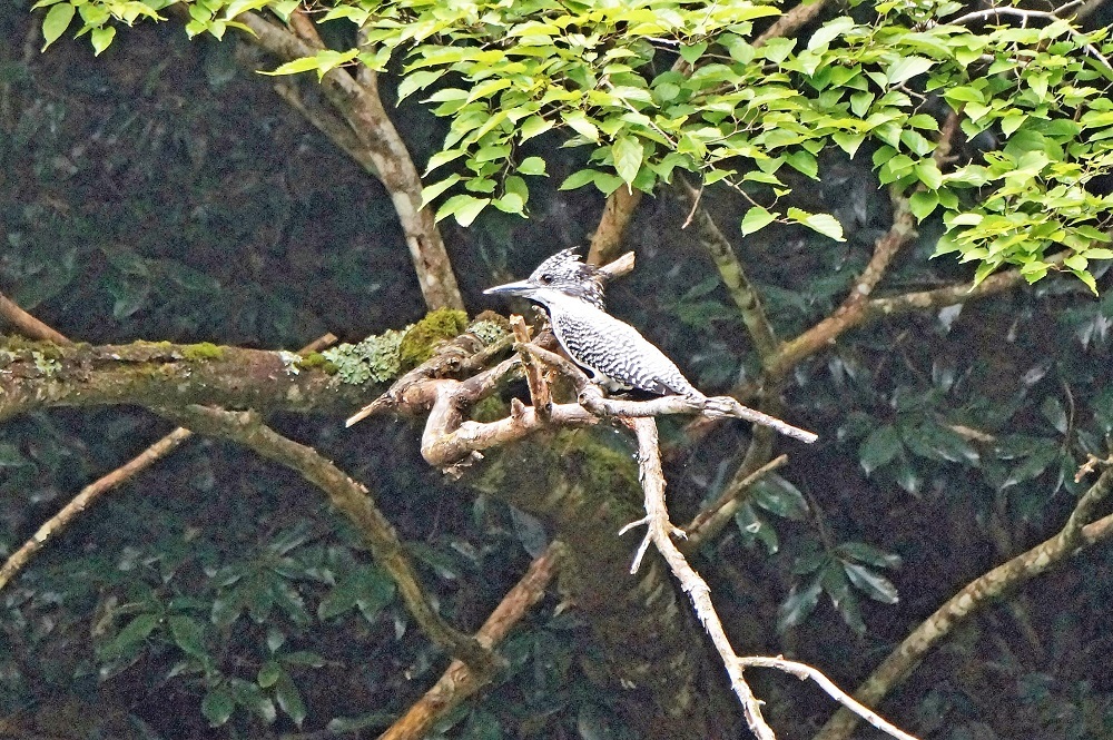 c0042418_08015727.jpg