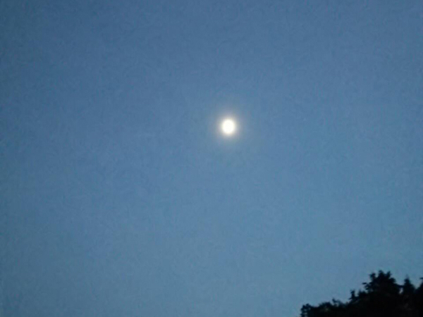 c0346119_18043940.jpg