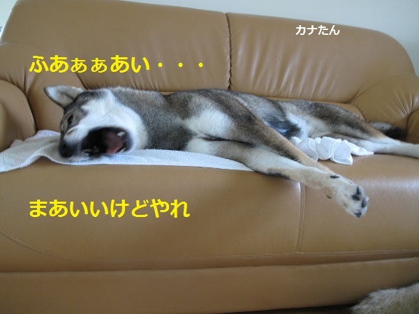 f0143123_09194403.jpg