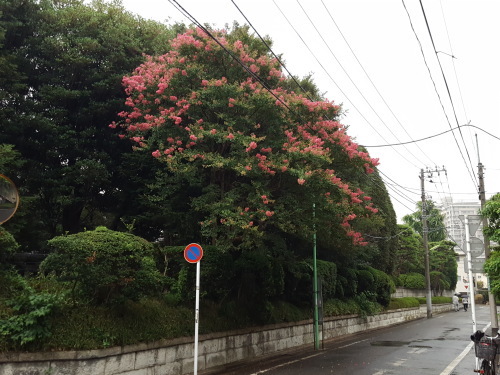 e0016828_09144191.jpg