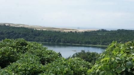 e0166734_20120768.jpg