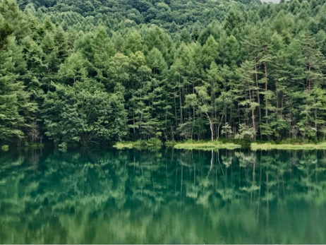 f0236736_09361316.jpg